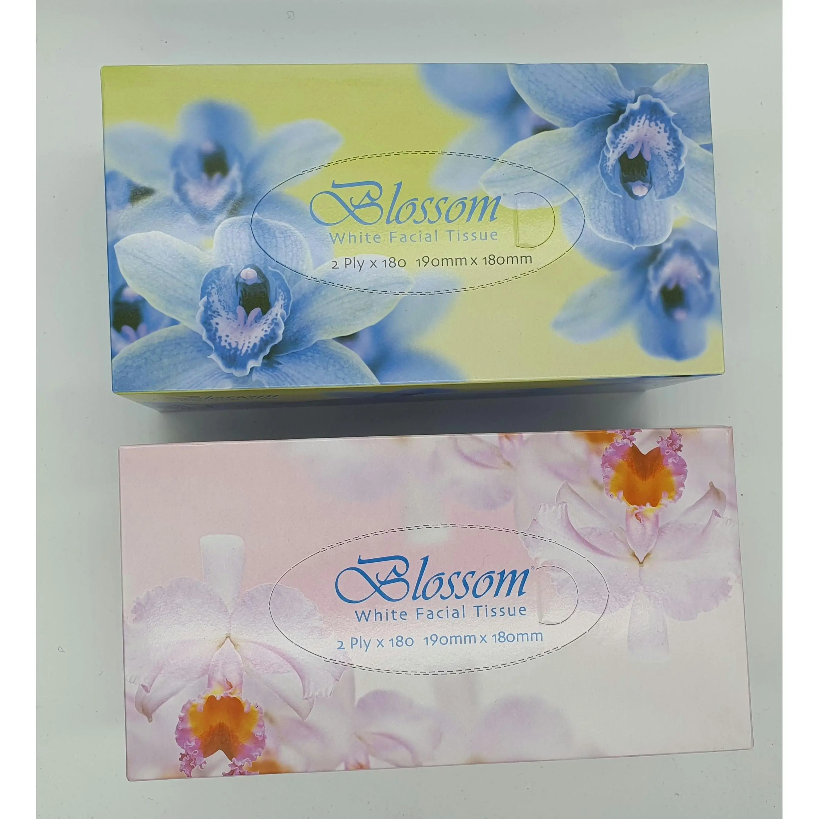 Blossom - White Facial Tissues