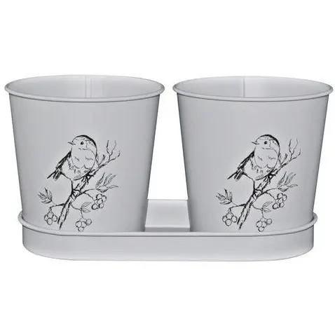 Metal Plant Pots and Tray Bird Print Set