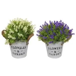 Potted Flowers with Rope Handle