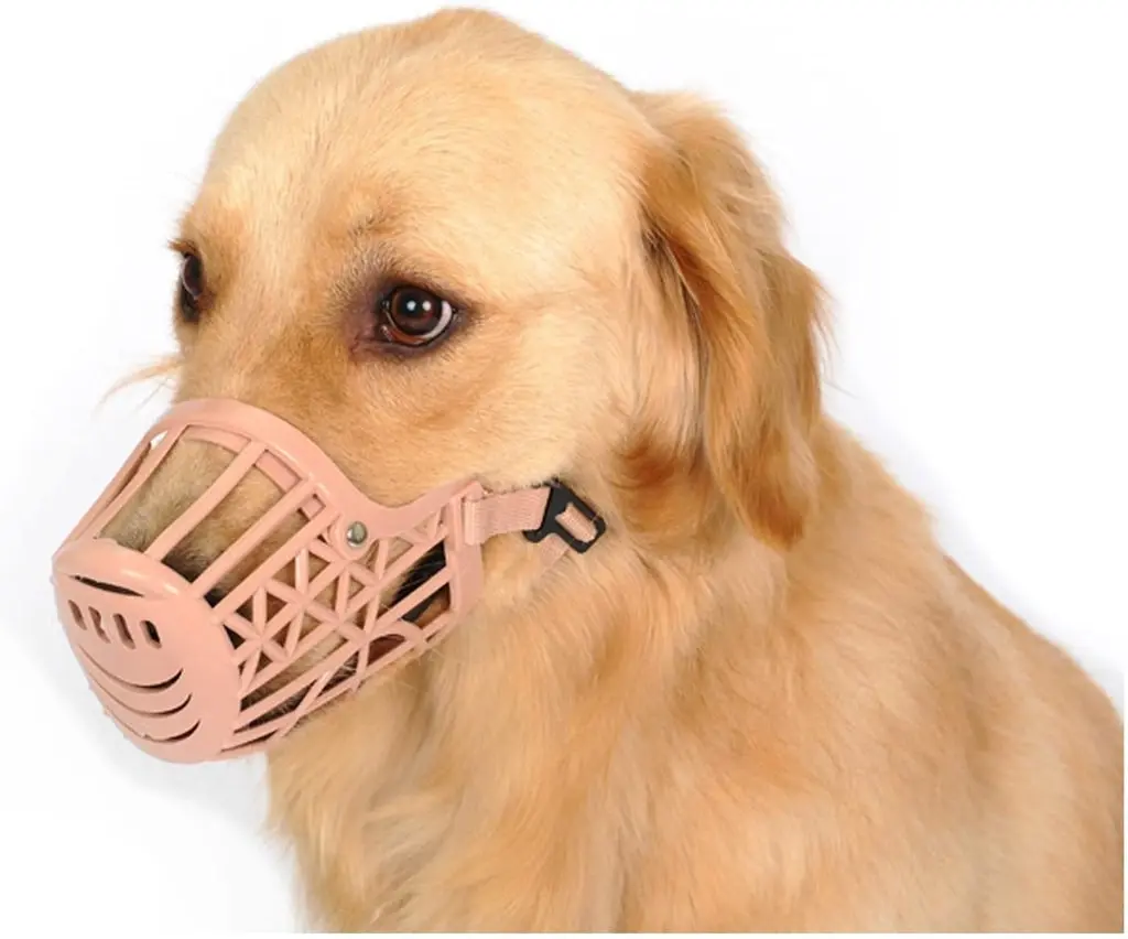 Prestige Pet Zeez Plastic Dog Muzzle XXL