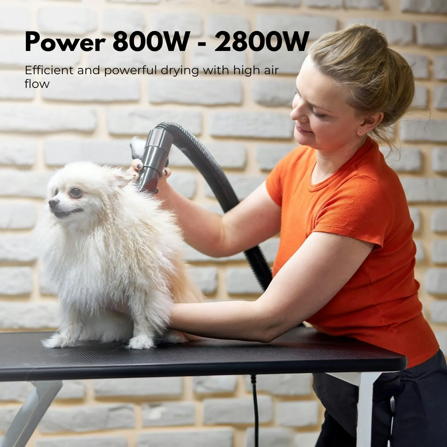 Floofi Basic Grooming Pet Hair Dryer - White