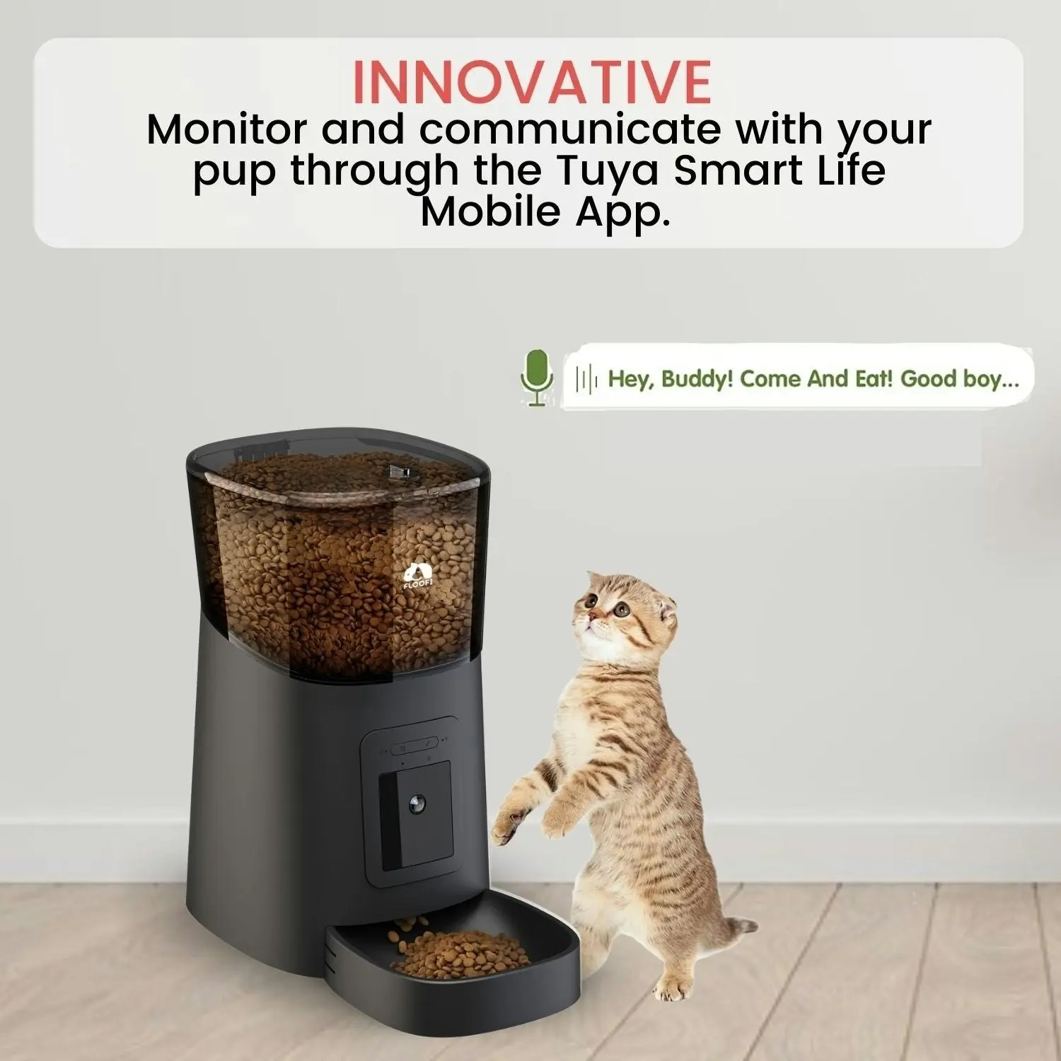 Floofi Automatic Voice Interaction & Event Record Camera 6L Smart Pet Feeder - Black