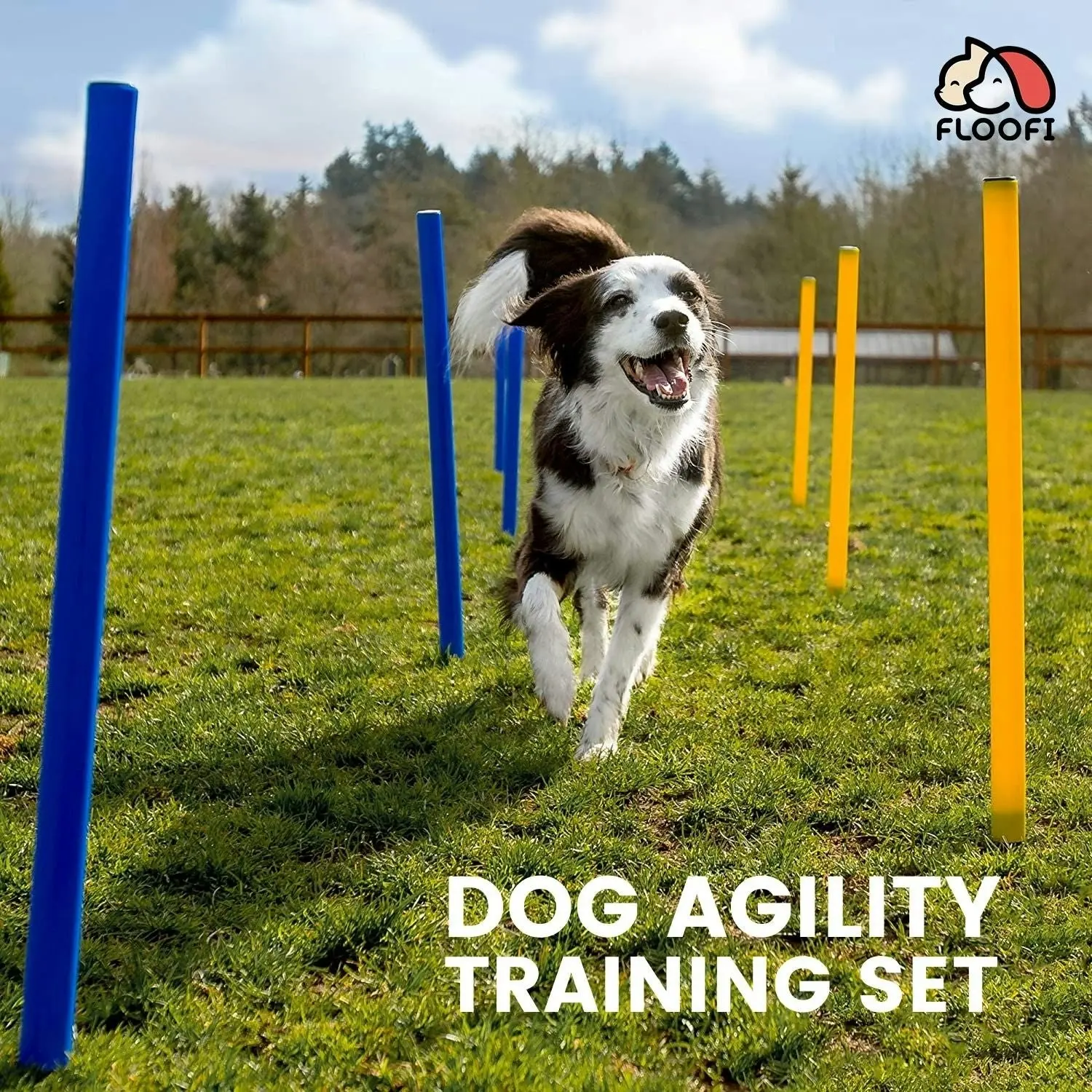 Floofi Pet Obstacle Training Course Pet Dog Agility Equipment Set - Yellow/Blue