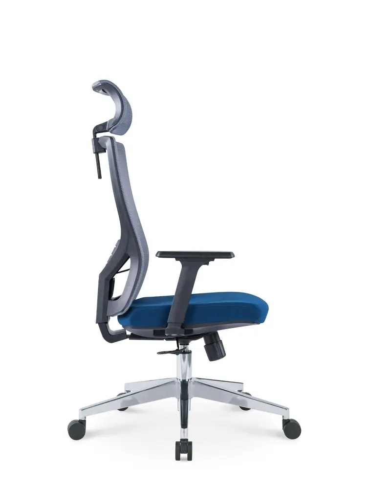 Ekkio Ava Ergonomic Office Chair w/ Wide Tall S-shaped Backrest Design - Grey & Blue