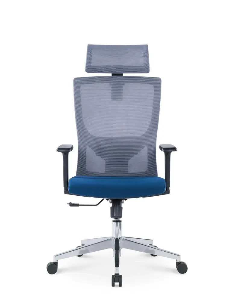 Ekkio Ava Ergonomic Office Chair w/ Wide Tall S-shaped Backrest Design - Grey & Blue