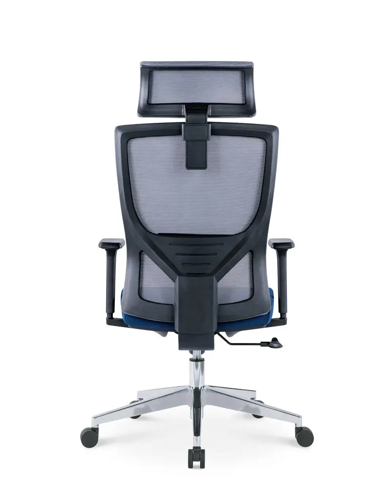 Ekkio Ava Ergonomic Office Chair w/ Wide Tall S-shaped Backrest Design - Grey & Blue