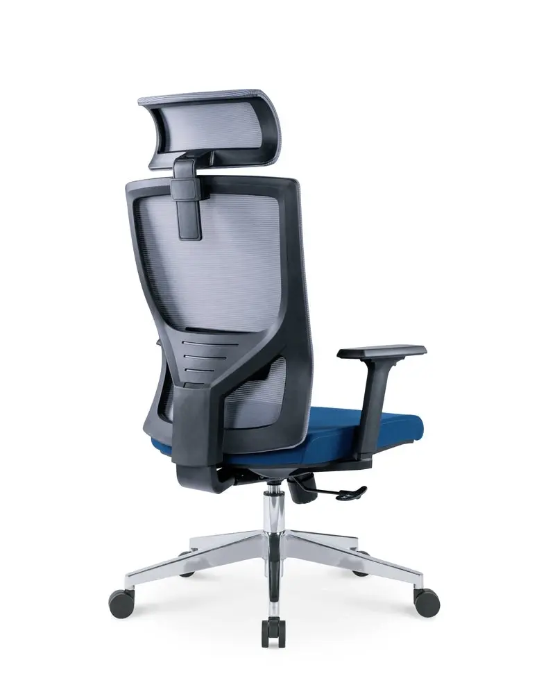 Ekkio Ava Ergonomic Office Chair w/ Wide Tall S-shaped Backrest Design - Grey & Blue