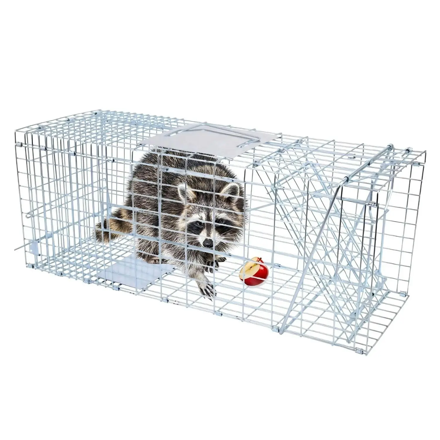 Noveden Folding Humane Live Catch Possum Fox Koala Rabbit Bird Cat Animal Trap Cage