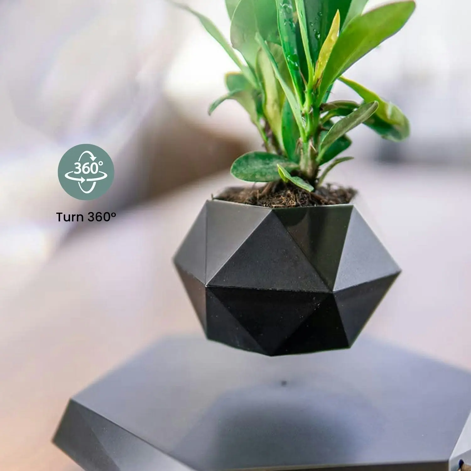 Gominimo Magnetic Levitating Floating Small Succulent Plant Pot Home Decor Black