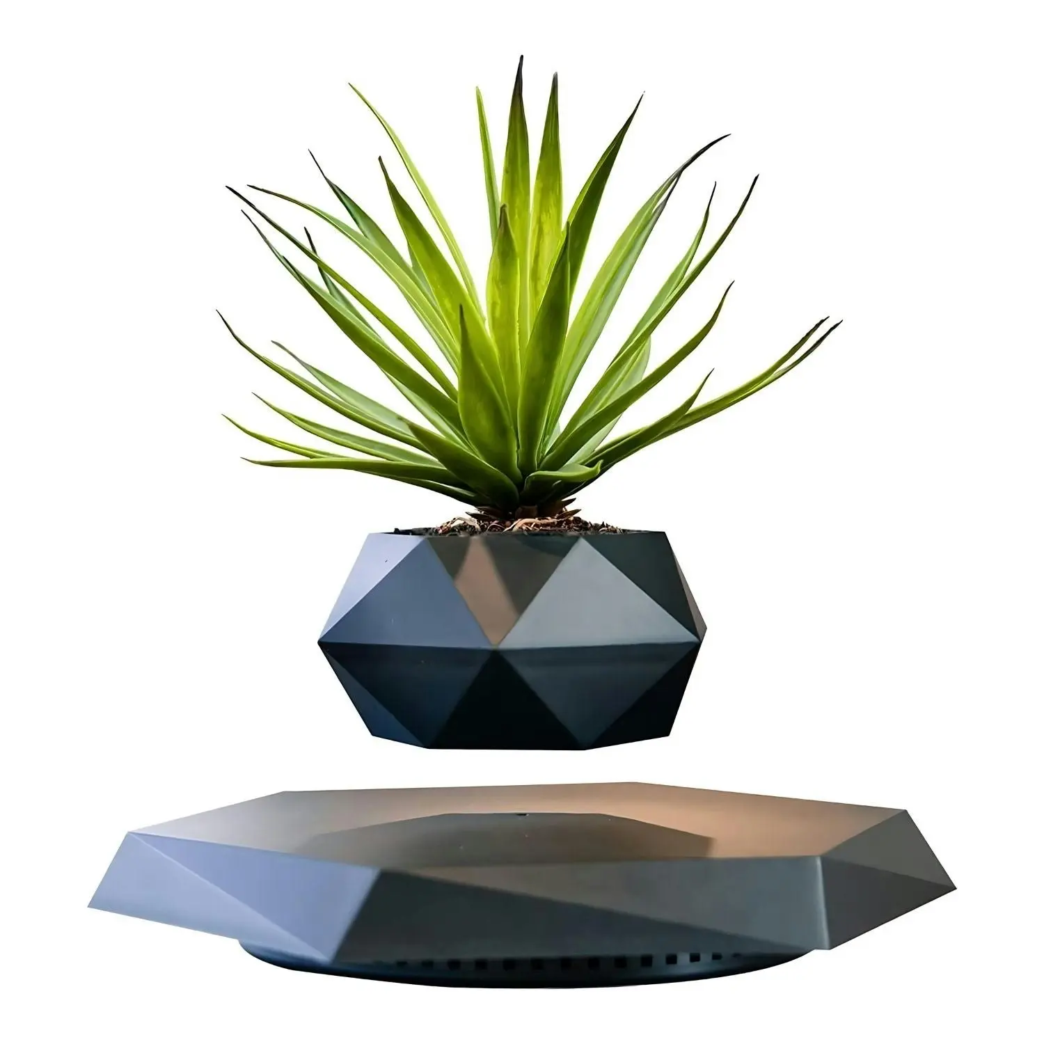 Gominimo Magnetic Levitating Floating Small Succulent Plant Pot Home Decor Black