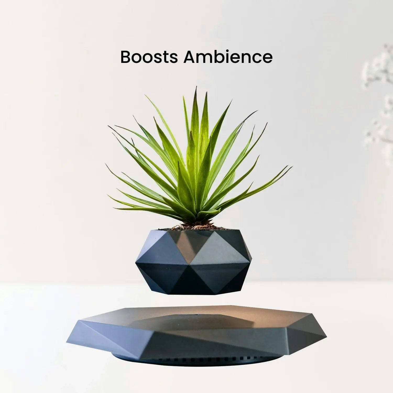 Gominimo Magnetic Levitating Floating Small Succulent Plant Pot Home Decor Black