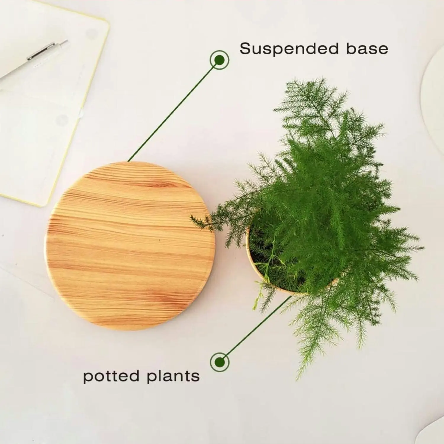 Gominimo Magnetic Levitating Floating Small Succulent Plant Pot Home Decor Oak