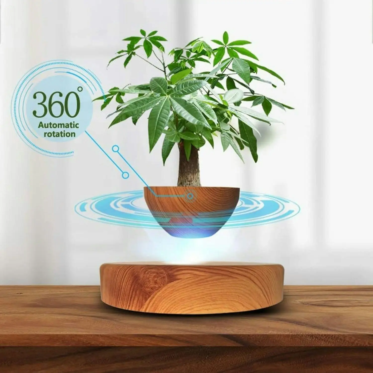 Gominimo Magnetic Levitating Floating Small Succulent Plant Pot Home Decor Oak