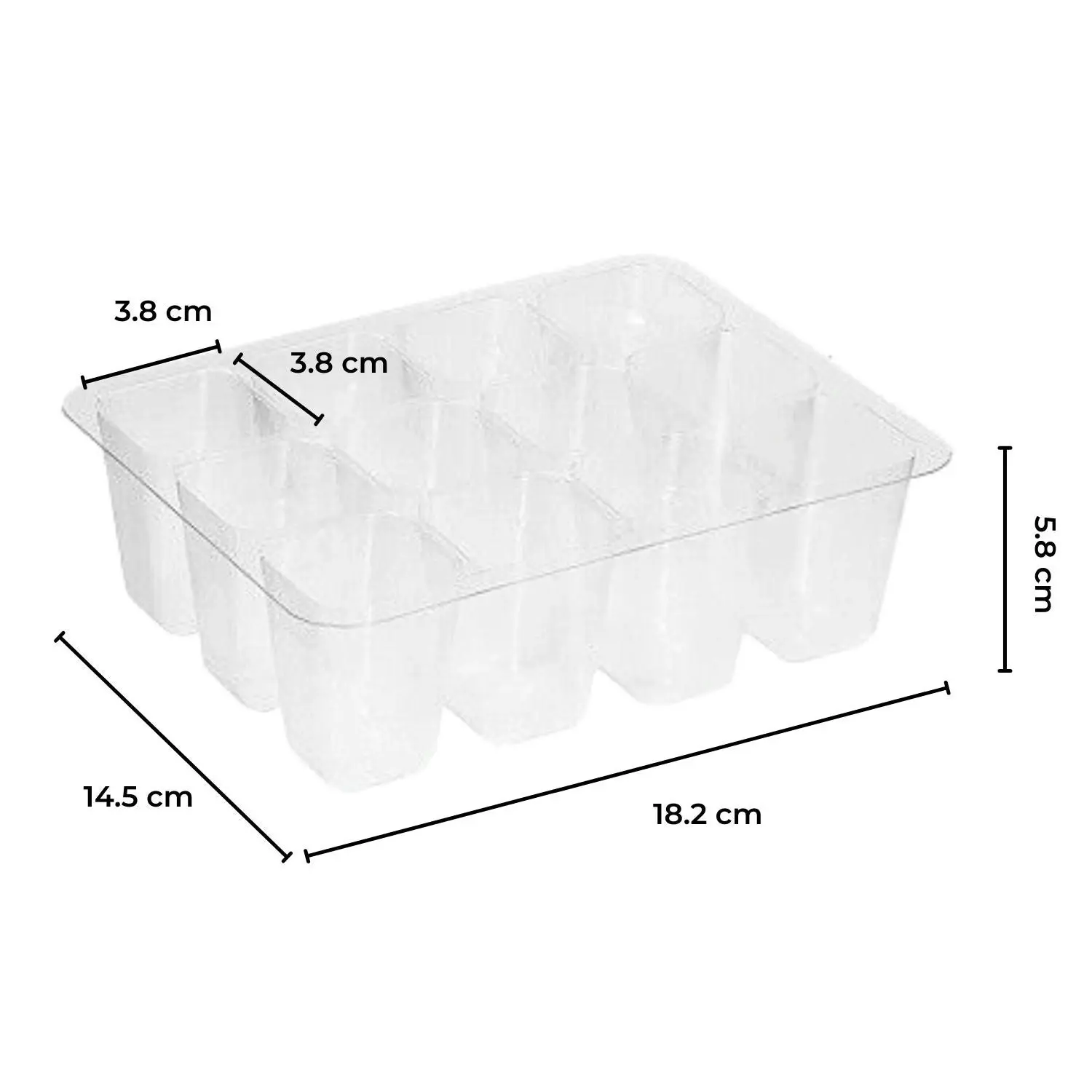 Noveden Seed Starter Tray with Grow Light Beginner Kit 12 Cell per Tray