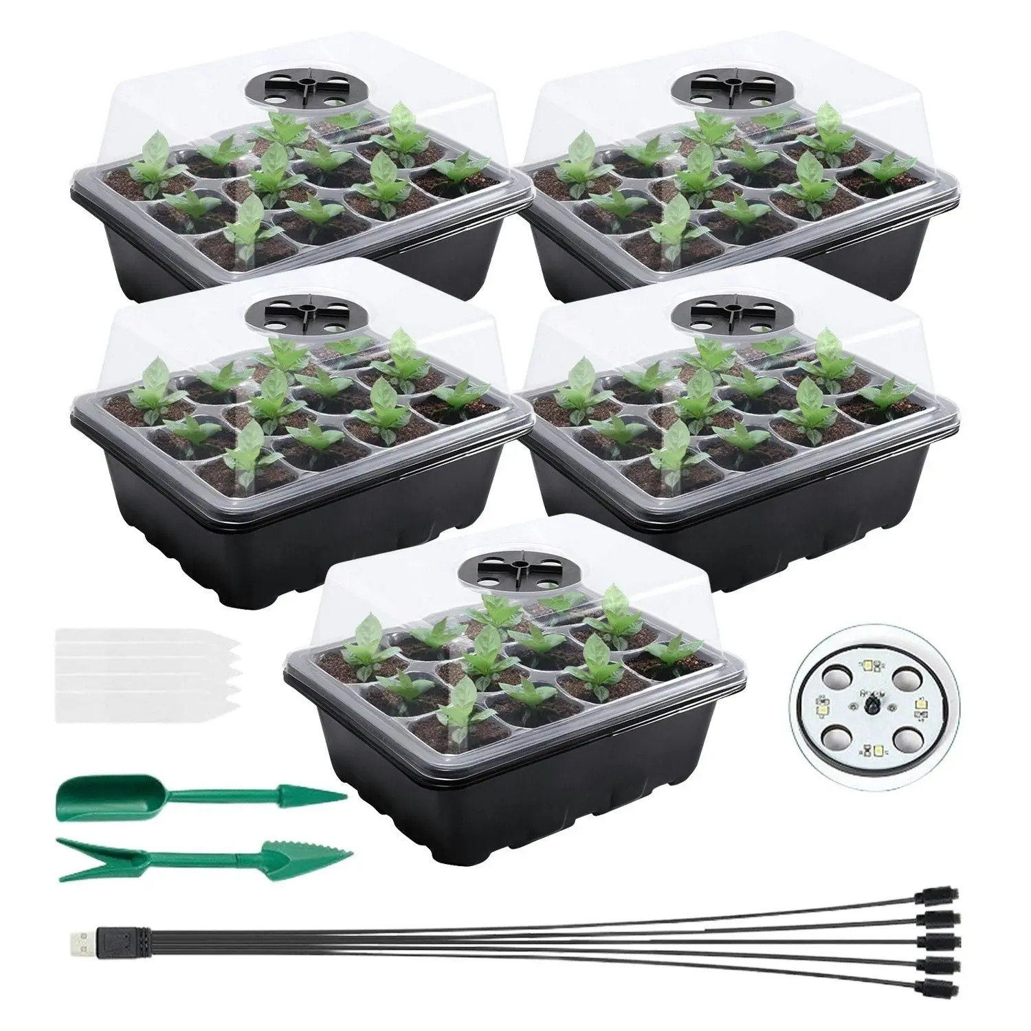 Noveden Seed Starter Tray with Grow Light Beginner Kit 12 Cell per Tray