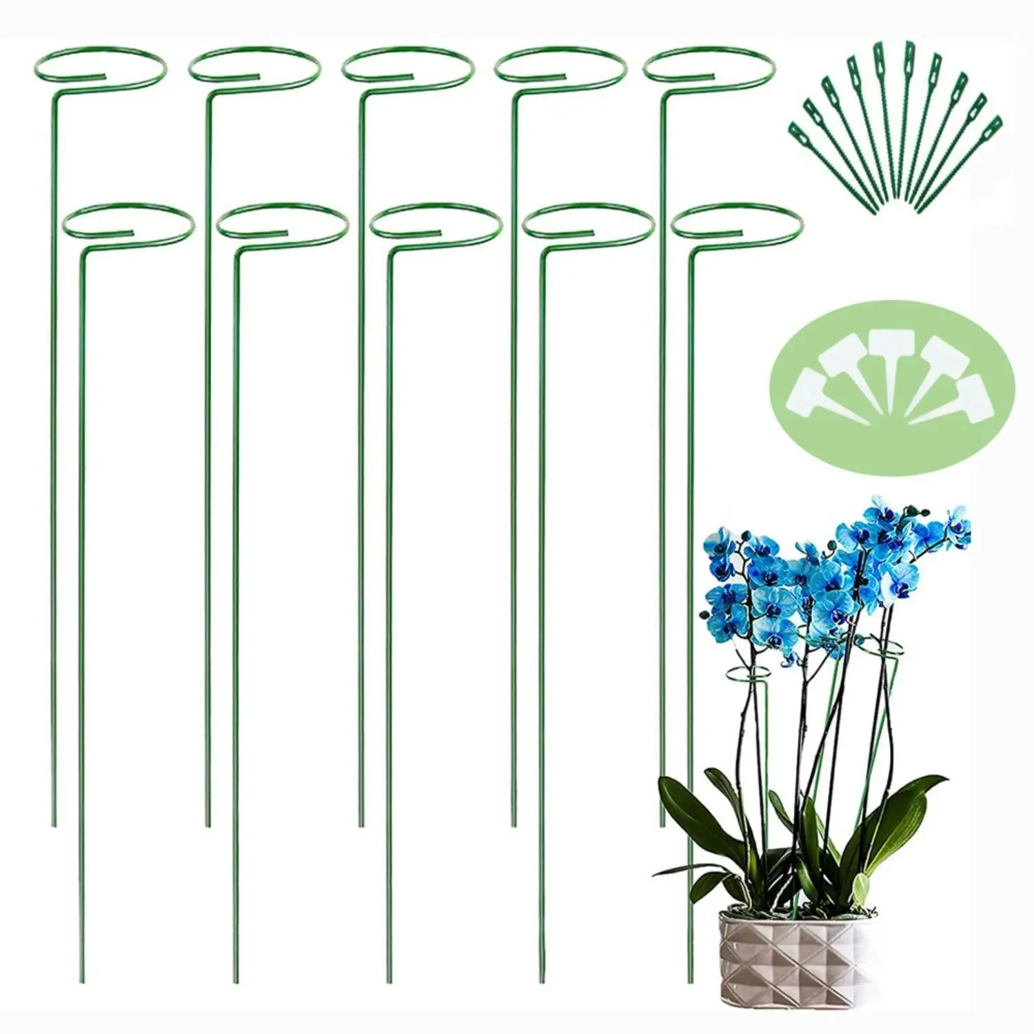 Noveden 10pcs Plant Stakes for Flowers Single Stem Garden Support Rings - Green