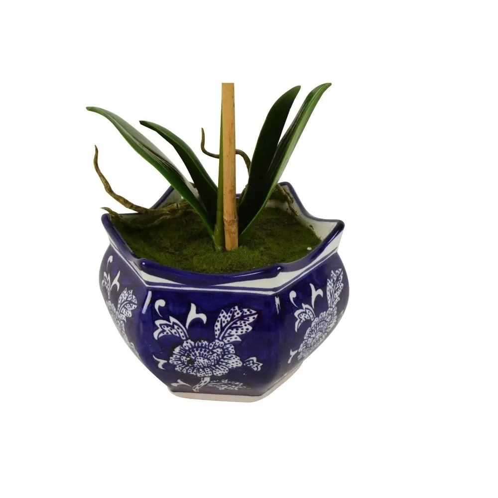 Maine & Crawford Hema 52cm Ginger Jar Ceramic w/ Potted Orchid Home Decor Indigo