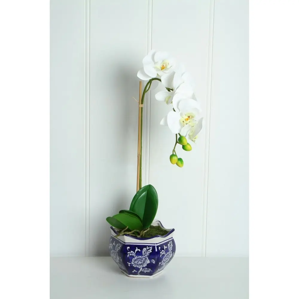 Maine & Crawford Hema 52cm Ginger Jar Ceramic w/ Potted Orchid Home Decor Indigo