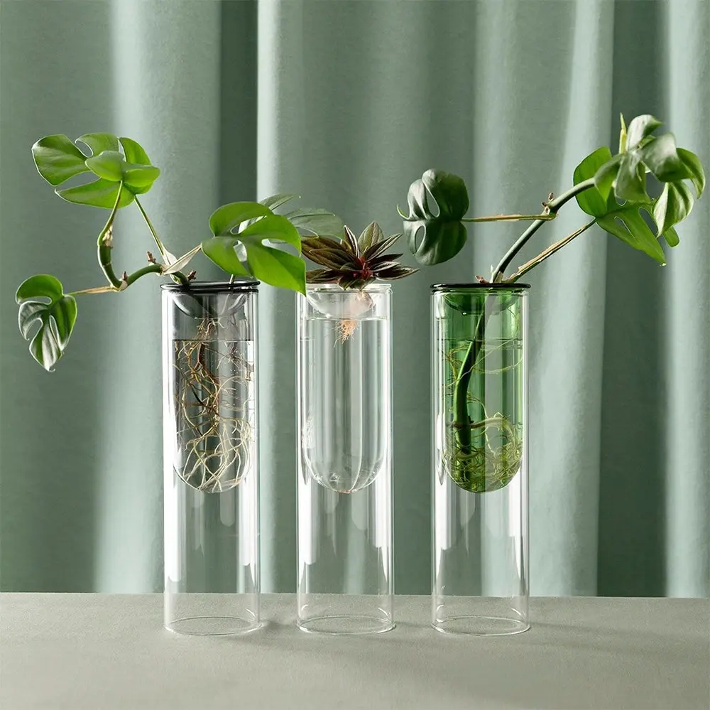 Studio Milligram 24cm Organic Interior Propagation Plant Vase Home Decor Clear