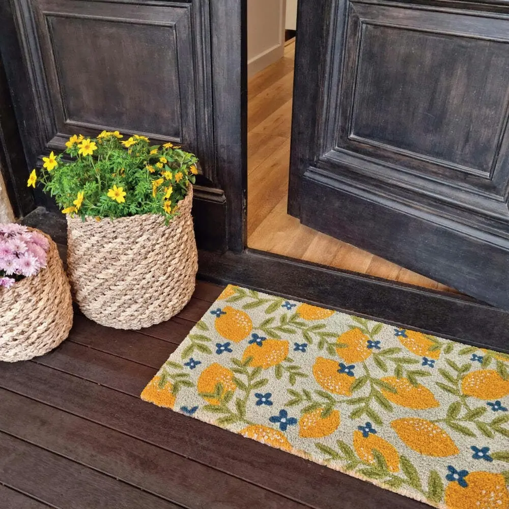 J.Elliot Home Lemons 45x75cm Door Mat Floor Area Rug PVC Backed Coir Rectangle