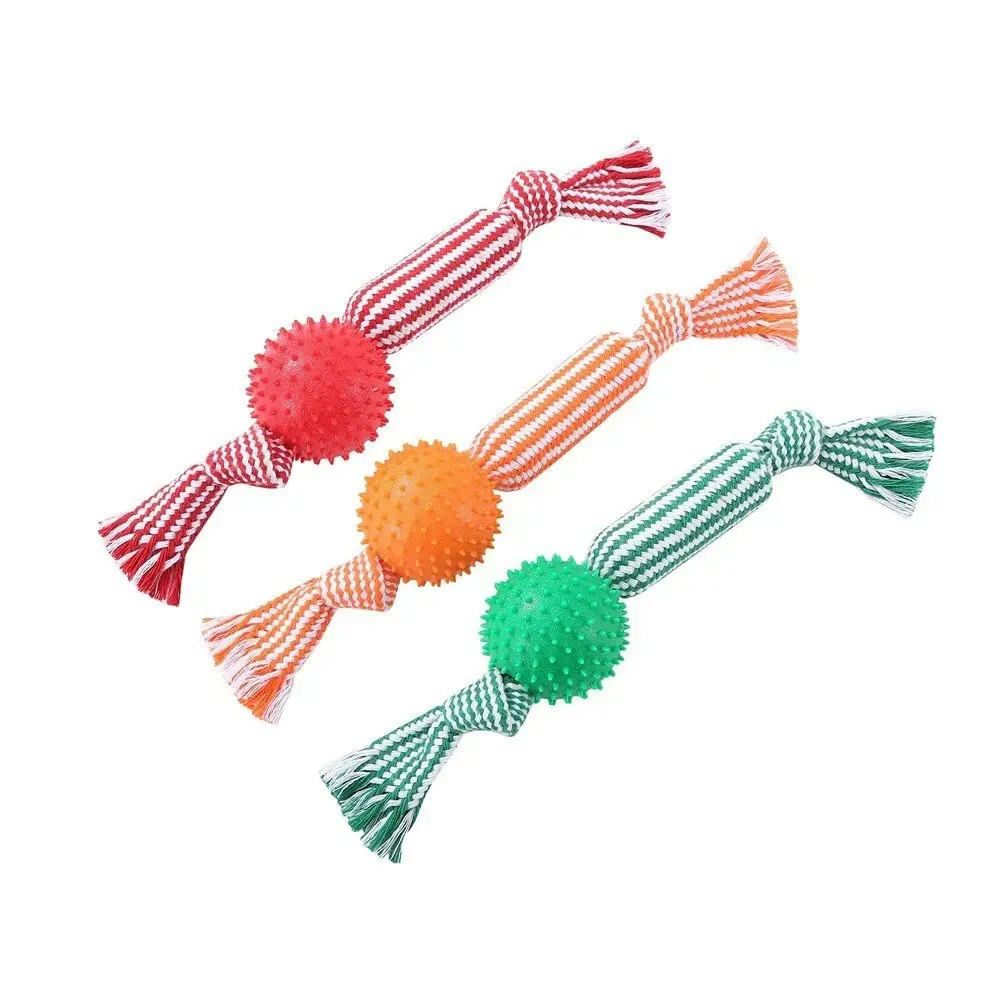 Paws & Claws 37cm Dental Tugger Dog/Pet Toy TPR Ball + Braided Rope Assorted