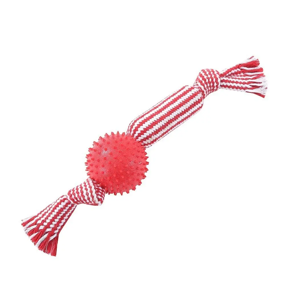 Paws & Claws 37cm Dental Tugger Dog/Pet Toy TPR Ball + Braided Rope Assorted