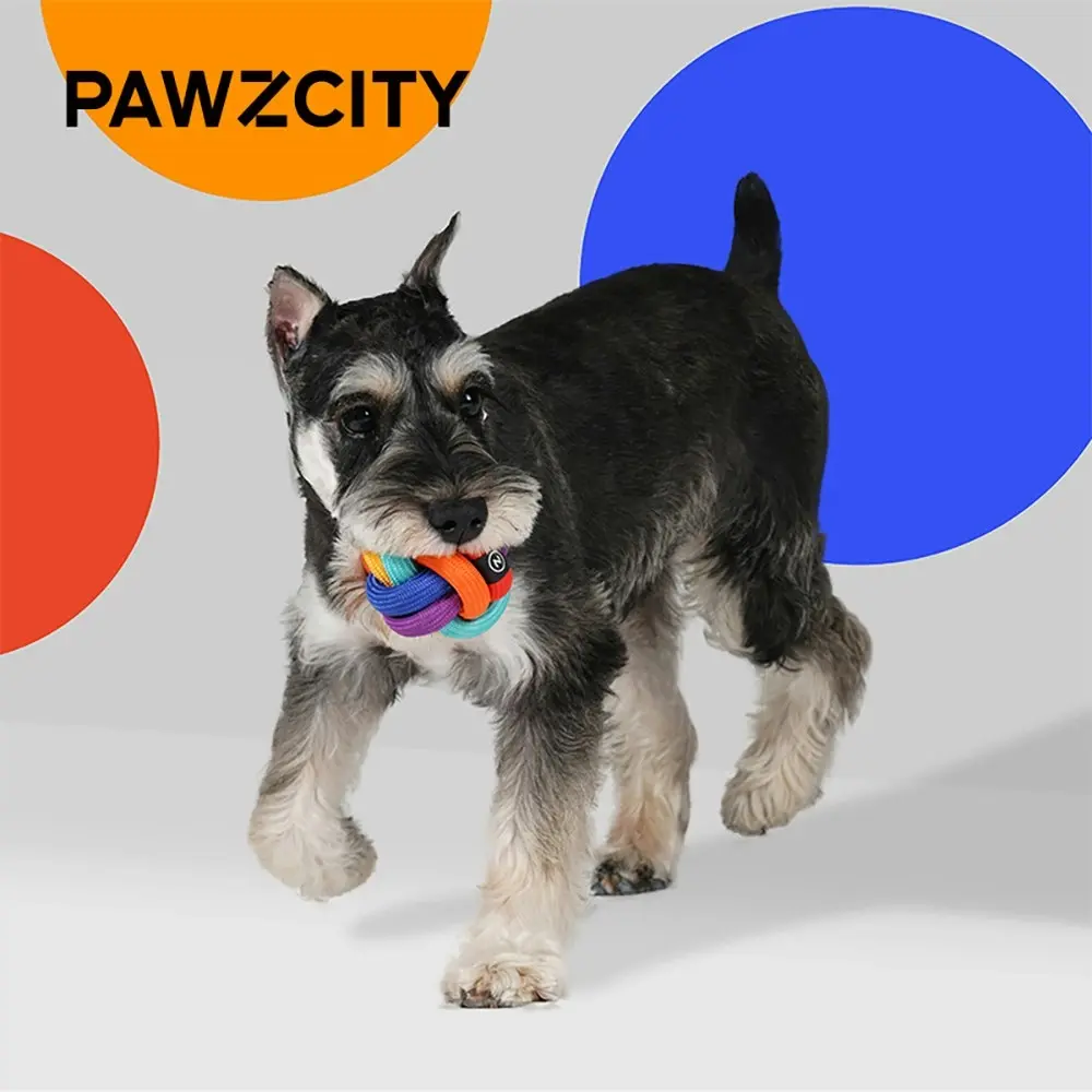 2x Pawzcity Rainbow Dare To Love 8cm Interactive Rope Ball Cat/Dog Fetch Toy