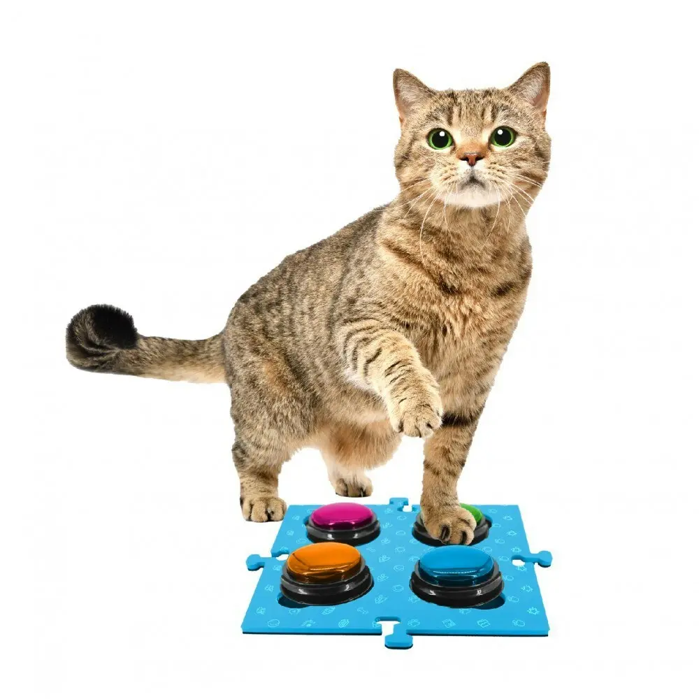 2PK Tech4Pets Mat Board Organiser Storage Holder For Talking Buttons/Floor Blue