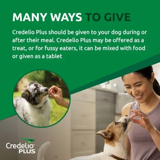 Credelio PLUS Large Dog Green 3 Packs & 6 Packs