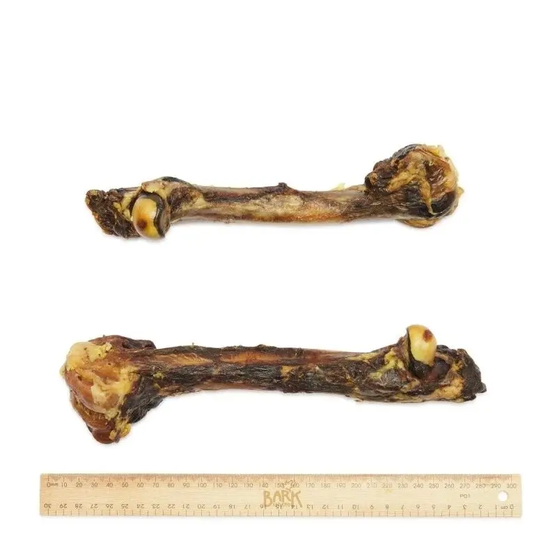 Bark & Beyond Roo Leg Bone 24 28cm