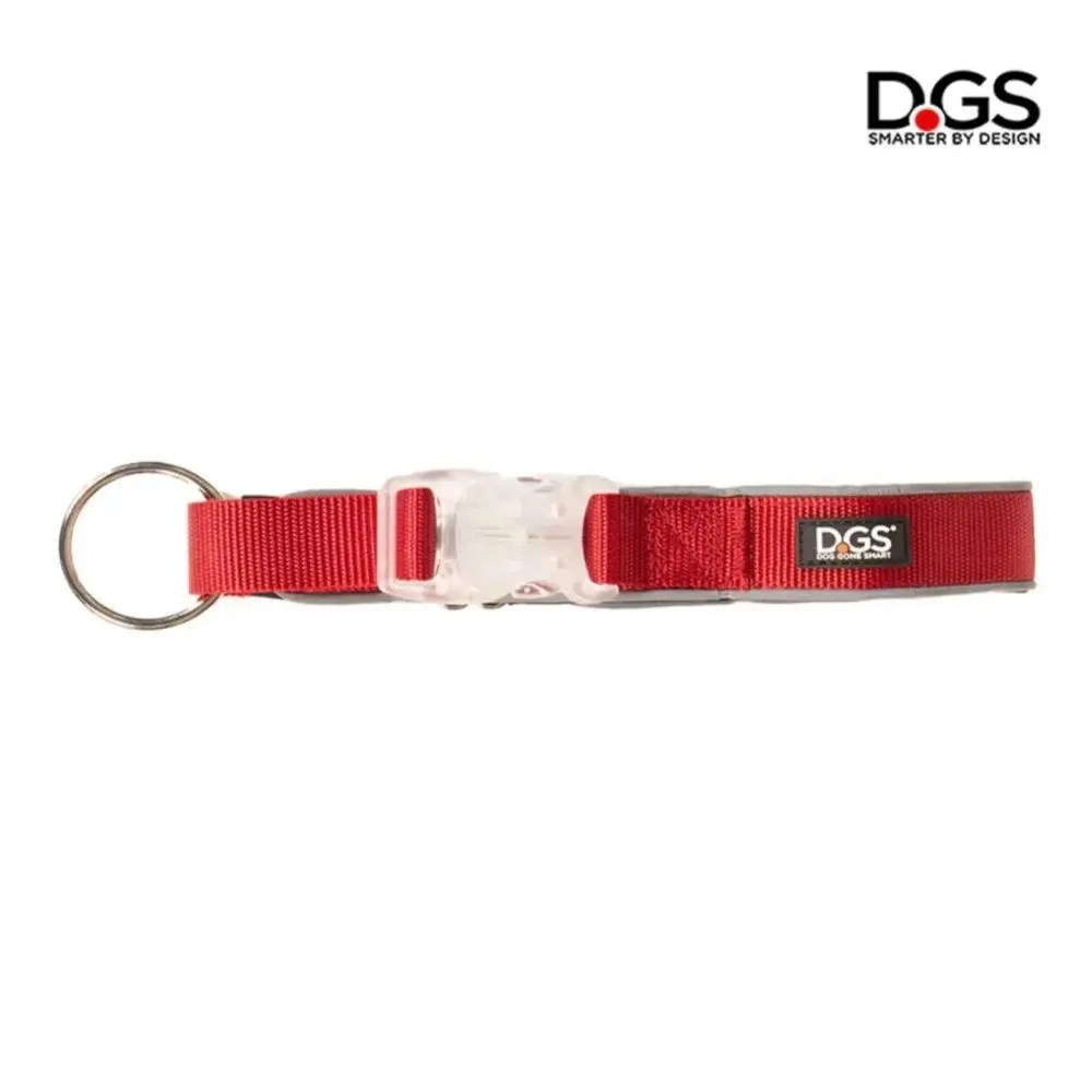 DGS LED Dog Collar Small - Black, Navy, Purple & Red