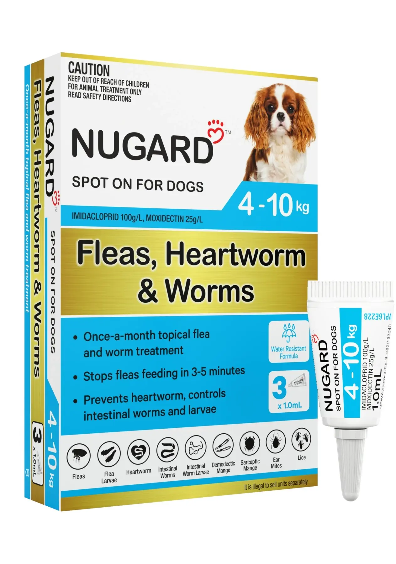 Nugard for Small Dogs 4-10kg (Aqua)