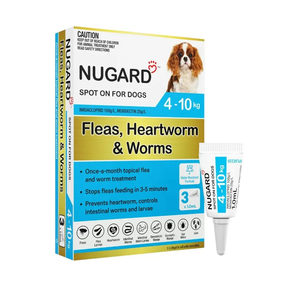 Nugard for Small Dogs 4-10kg (Aqua)