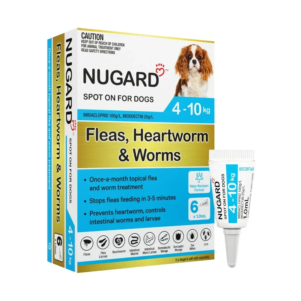 Nugard for Small Dogs 4-10kg (Aqua)