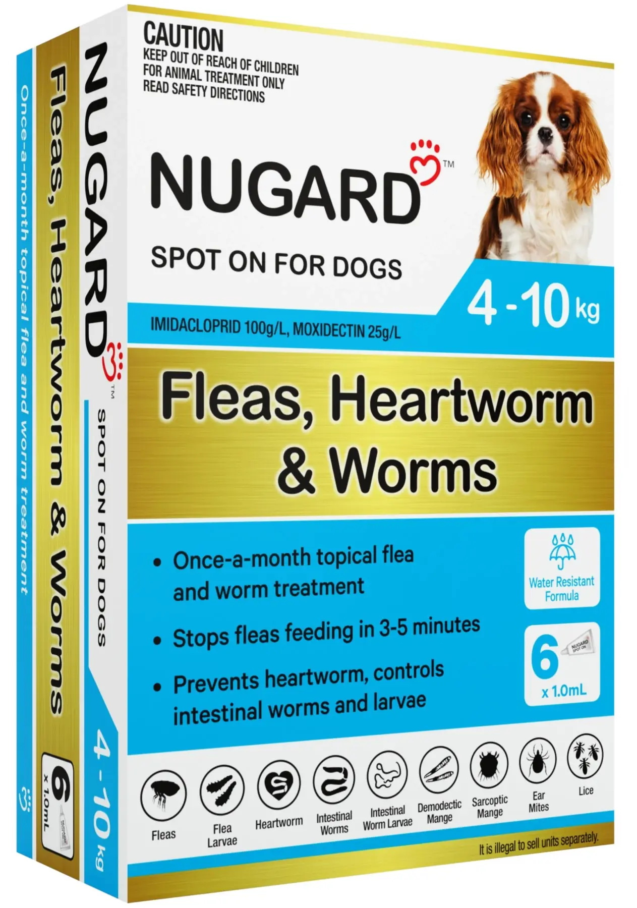 Nugard for Small Dogs 4-10kg (Aqua)