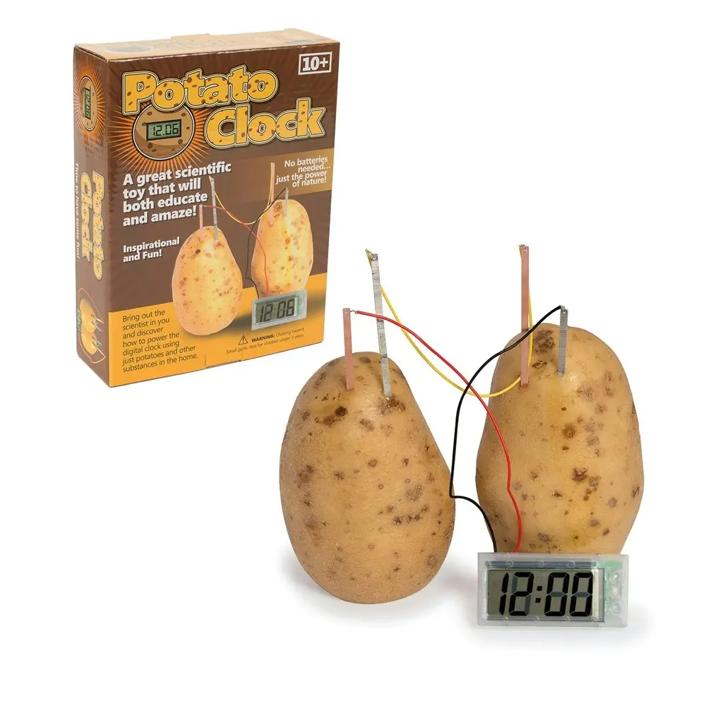 Funtime 27cm Potato Clock Science Kids/Children Learning Educational Toy 10y+