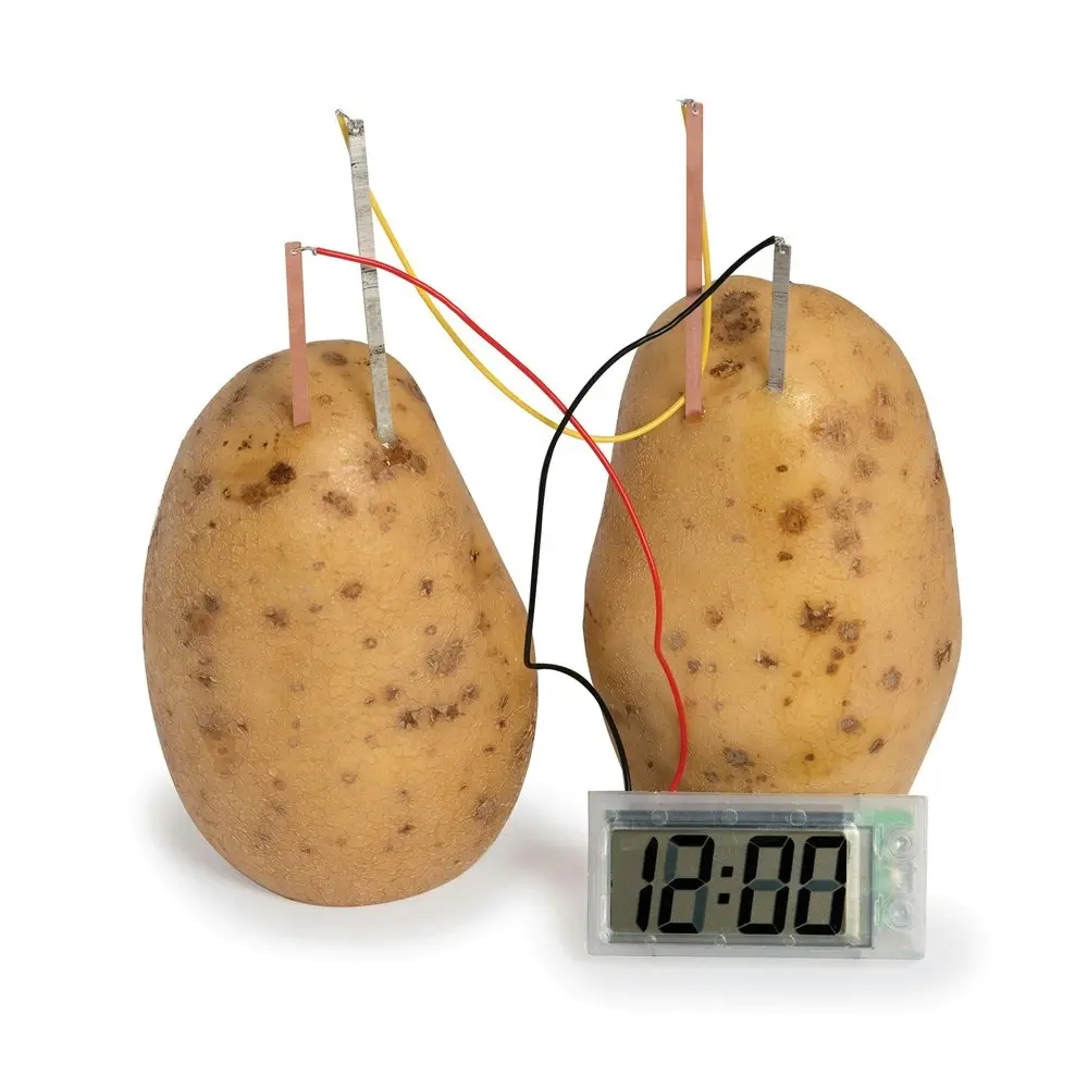 2PK Funtime 27cm Potato Clock Science Kid/Children Learning Educational Toy 10y+