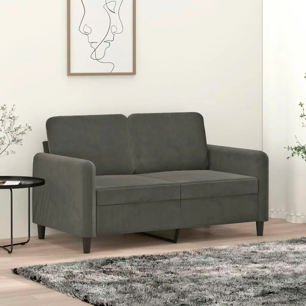 2-Seater Sofa Dark Grey 120 cm Velvet 349034