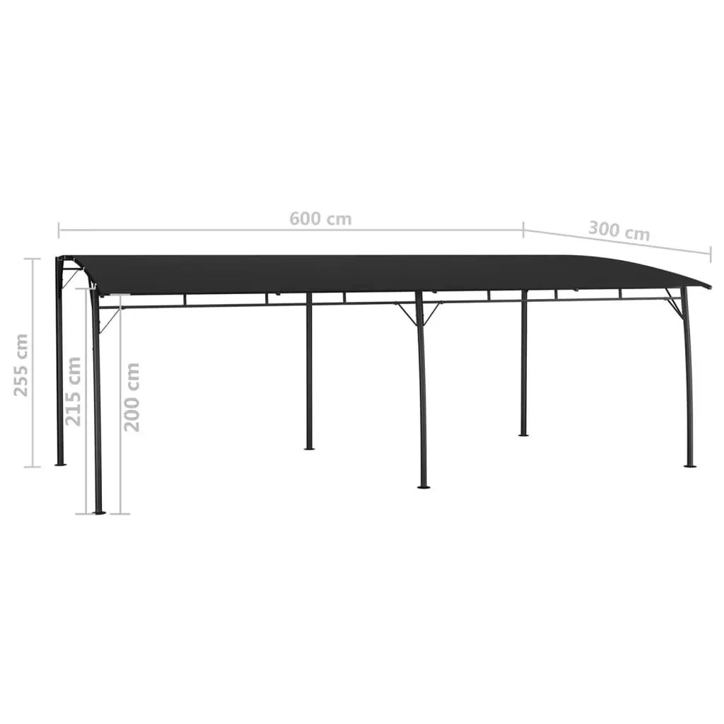 Garden Sunshade Awning 6x3x2.55 m Anthracite 47980