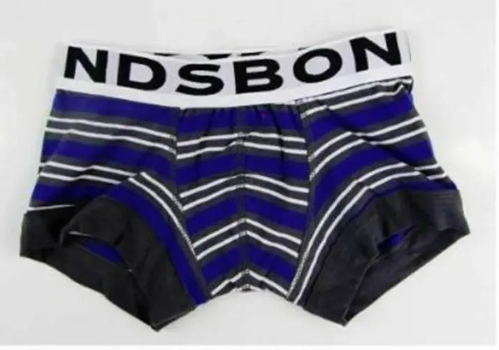 Bonds Boys Fit Trunks Underwear Boyleg Wideband Black Blue White Orange