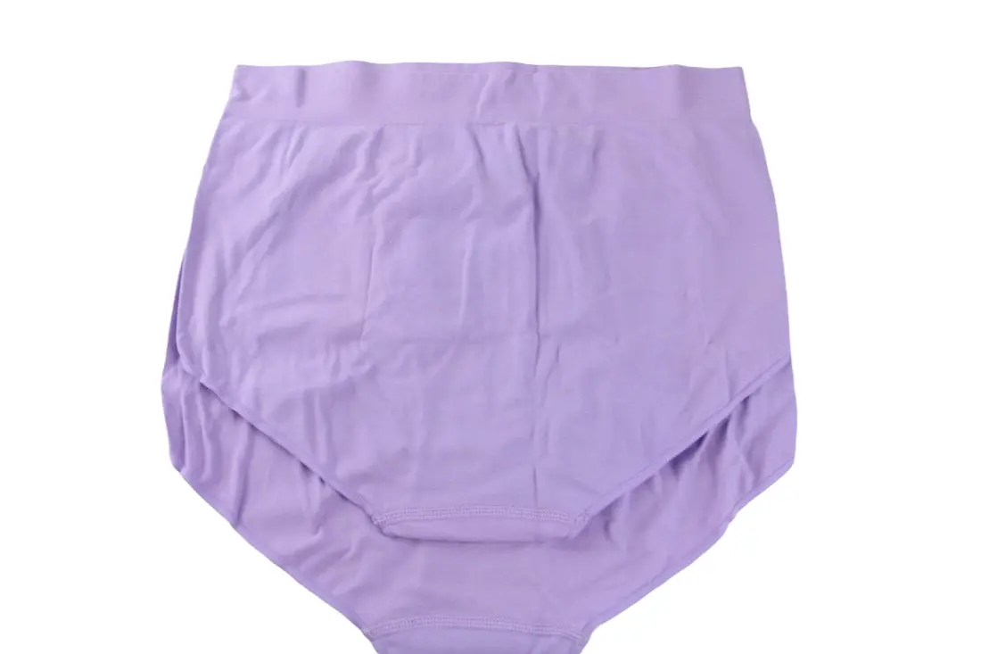 2 Pairs X Bonds Womens Seamless Full Brief Underwear Violet