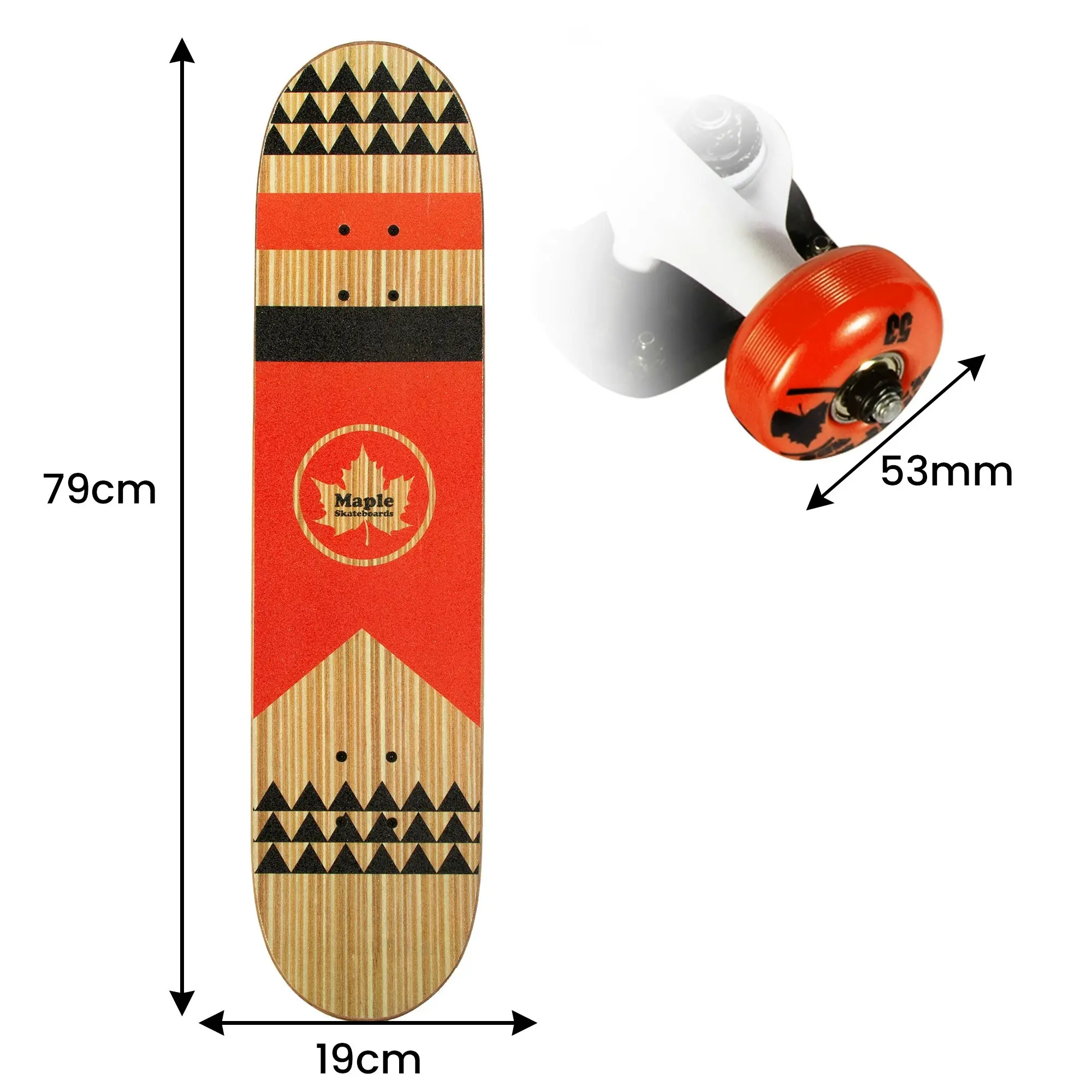 Maple TGT 31-inch Masters Series Popsicle Skateboard - Kids