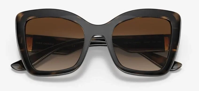 Womens Dolce & Gabbana Sunglasses Dg6170 Havana/Black/ Gradient Brown Sunnies