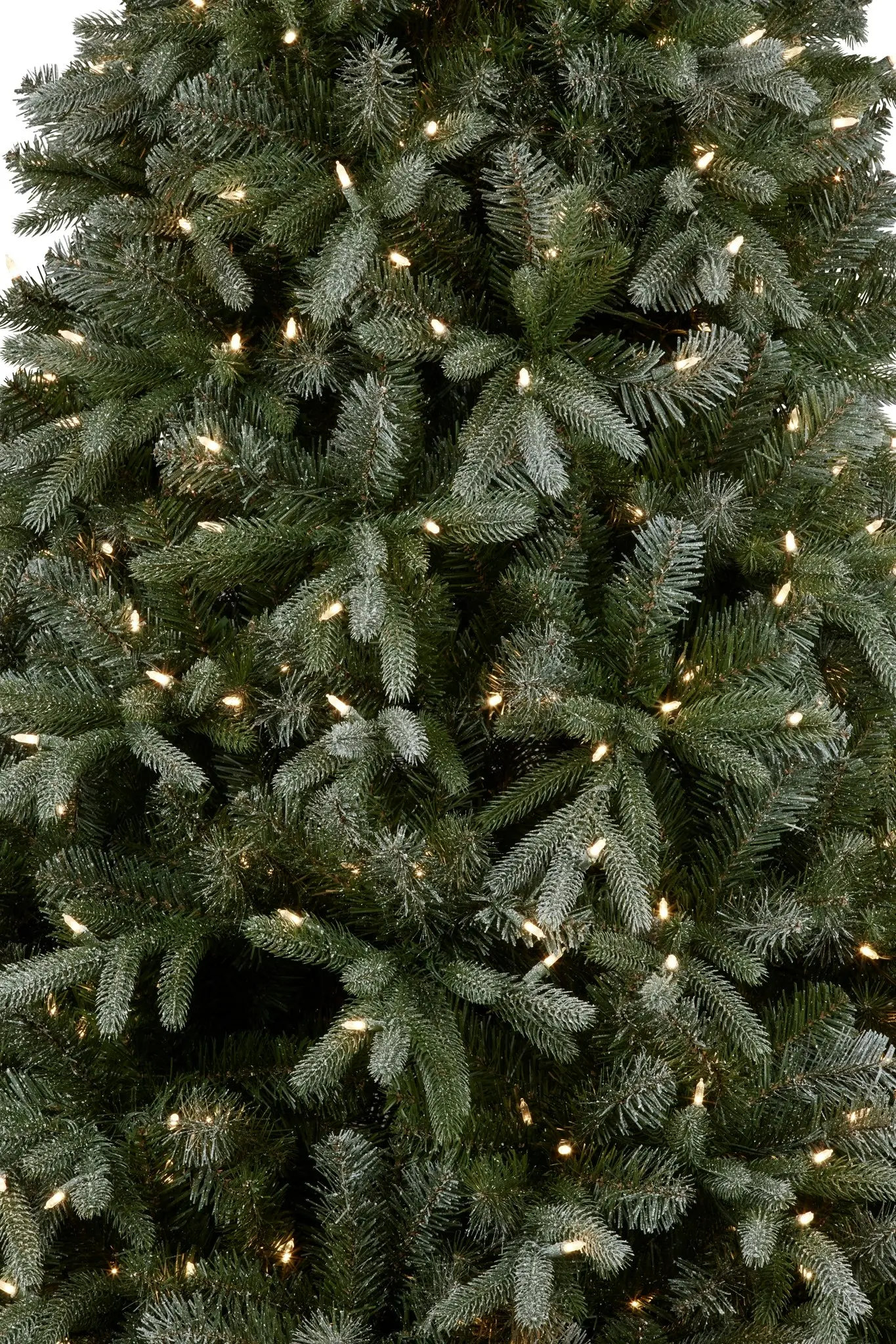 229cm Silver Fir Christmas Tree with Lights