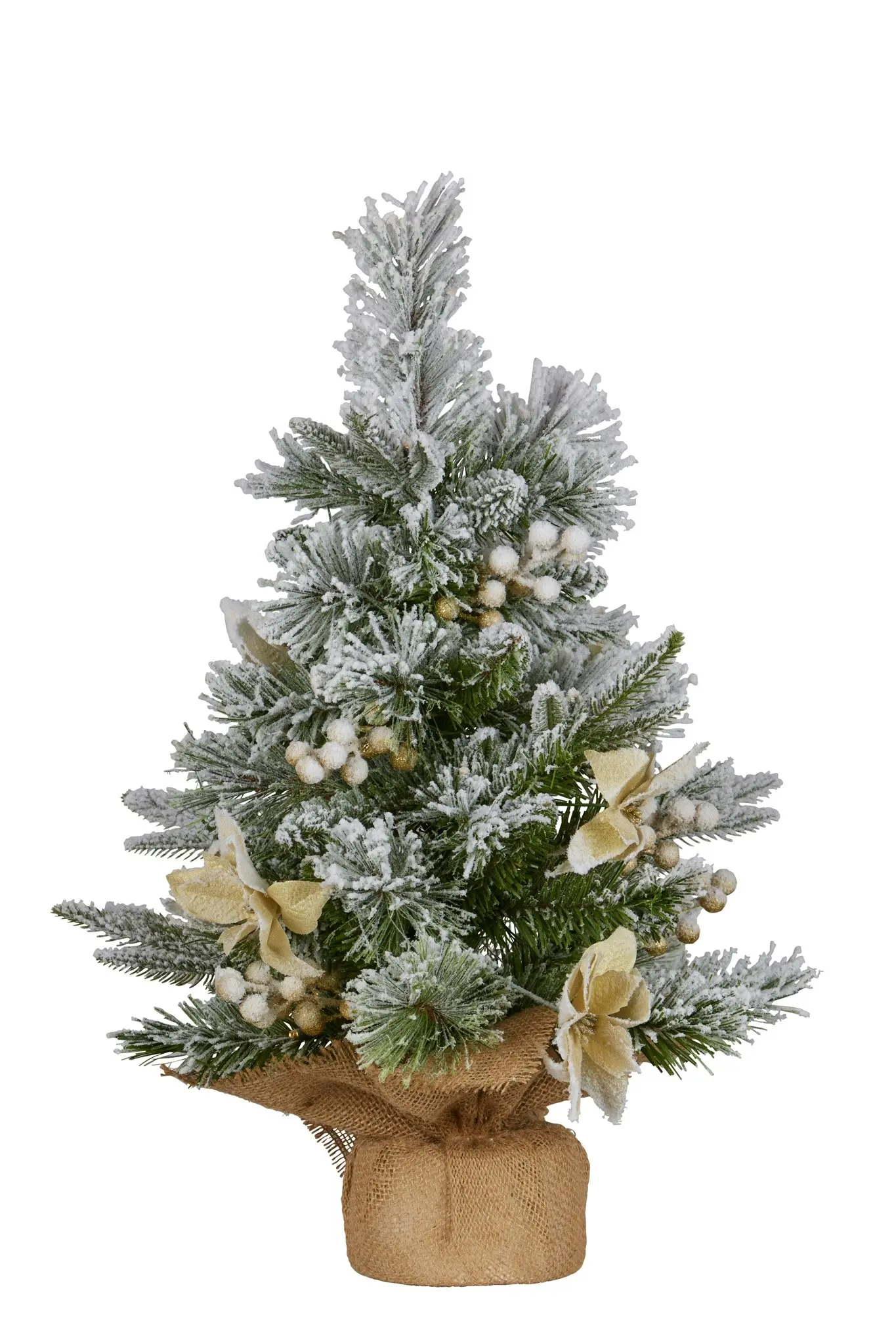 2ft Christmas Tree with Lights - Potted Frosted Colonial