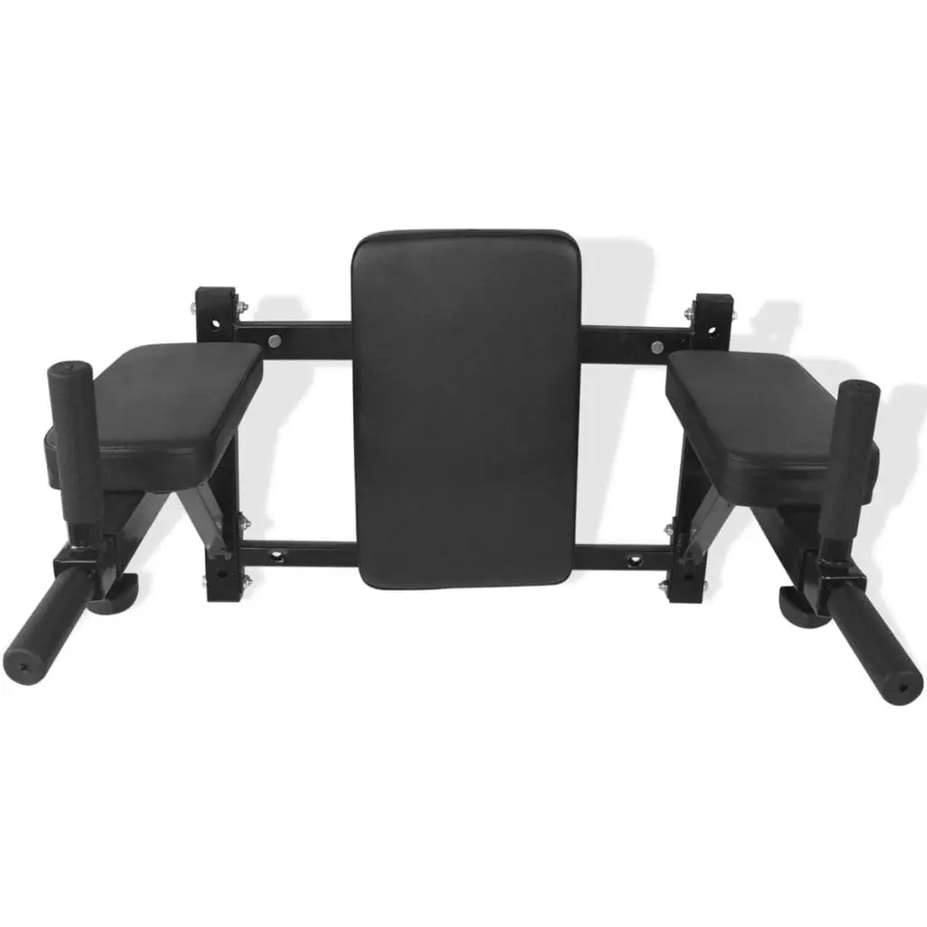 Wall-mounted Fitness Dip Station Black 91368