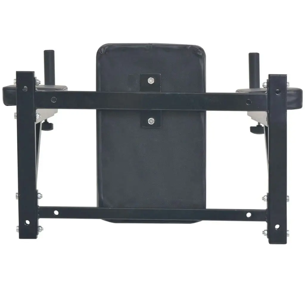 Wall-mounted Fitness Dip Station Black 91368