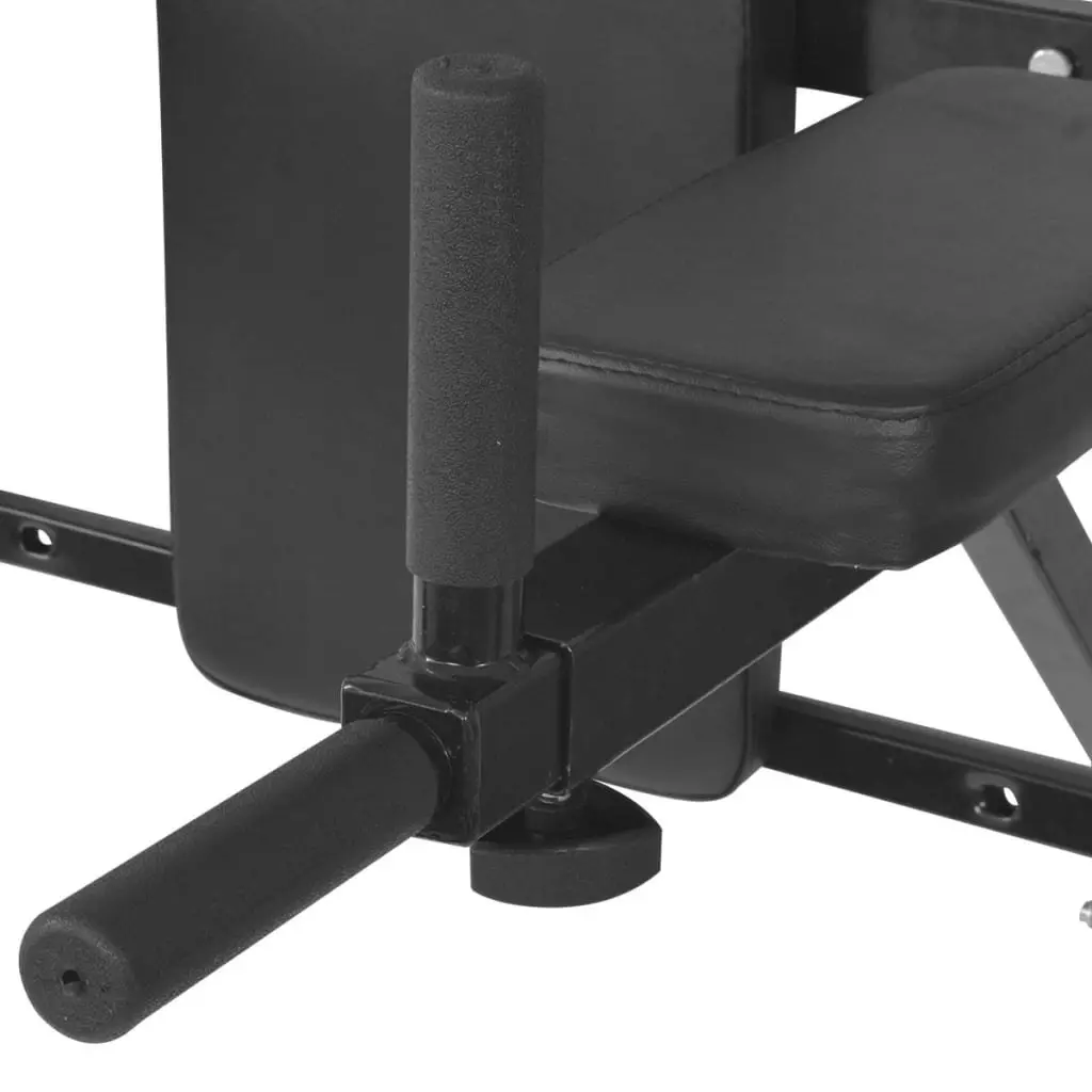 Wall-mounted Fitness Dip Station Black 91368