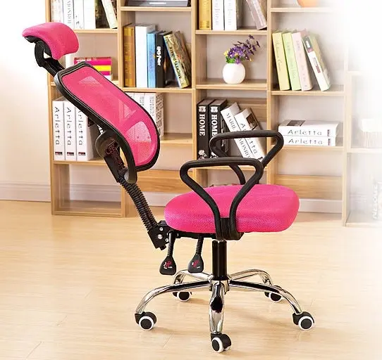 Advanced High Back Deluxe Ergonomic Office Chair (Pink)