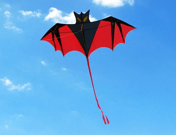 Huge 2m Bat Kite